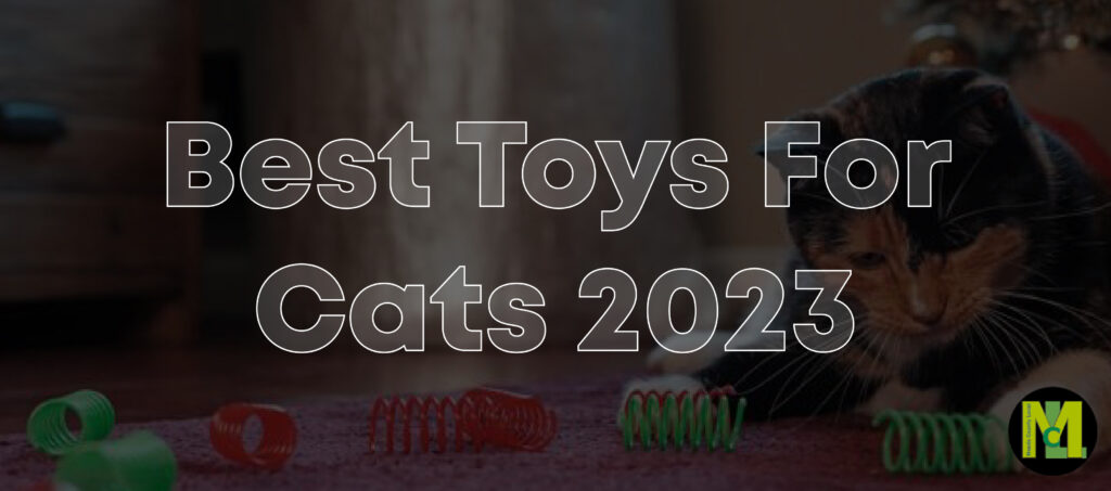 Best Toys For Cats 2023 01