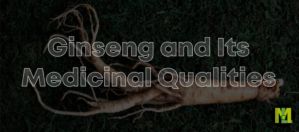 Ginseng and Its Medicinal Qualities 01