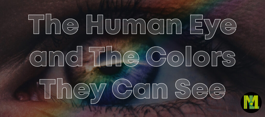 The Human Eye and The Colors They Can See 01 01