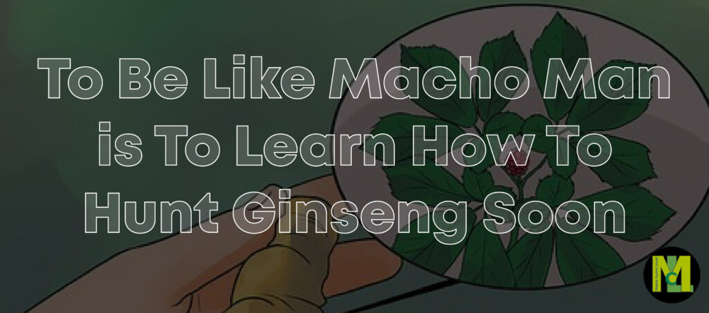 To Be Like Macho Man is To Learn How To Hunt Ginseng 01